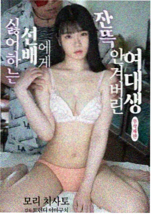 红桃韩剧 偶像剧推荐 流星